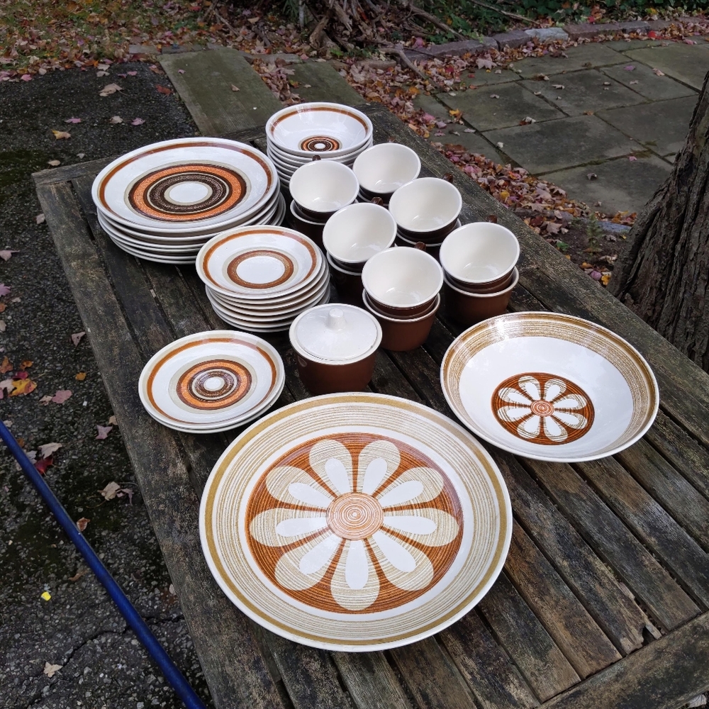 Rare! Vintage Cavalier Ironstone "Sahara" Floral Ring 37-piece Dinnerware Set